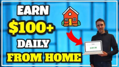 Earn $100 Day Entry Level Work From Home Jobs for Beginners